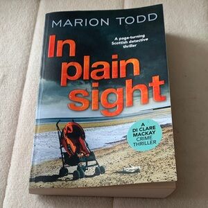 Thriller In Plain Sight Marion Todd scottish crime